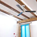 Eco-friendly Валенсия